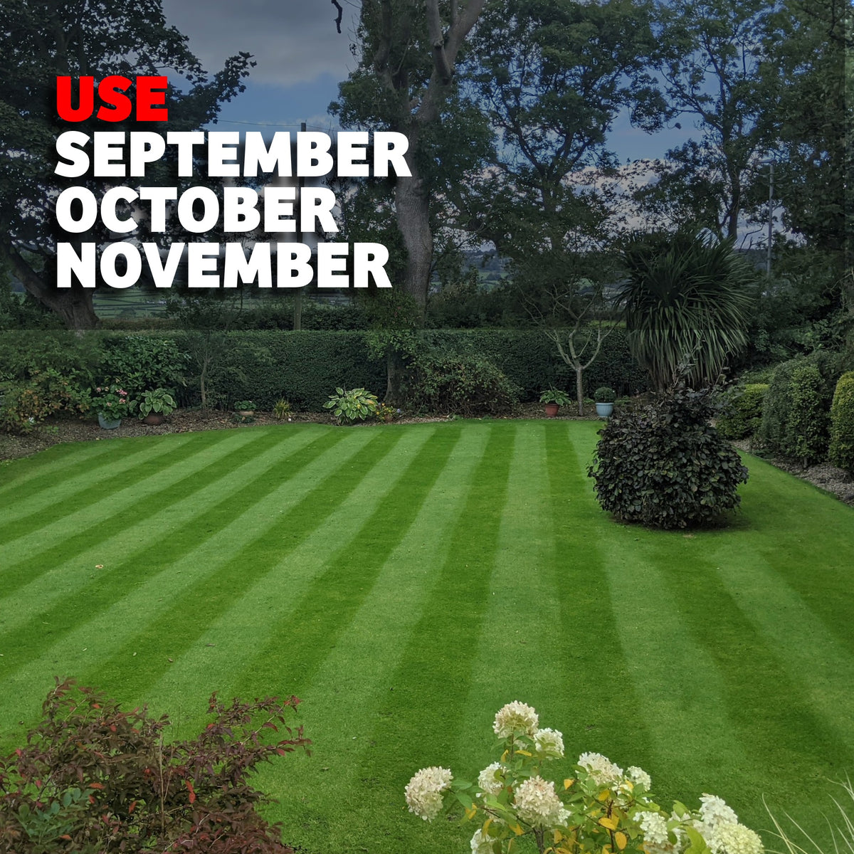 Autumn Lawn Builder Fertiliser - iGrow Carpet