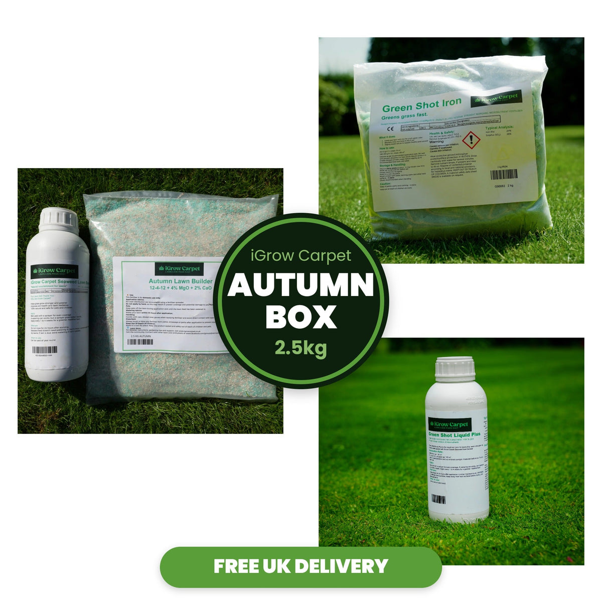 iGrow Carpet Autumn Box (2.5kg) - iGrow Carpet