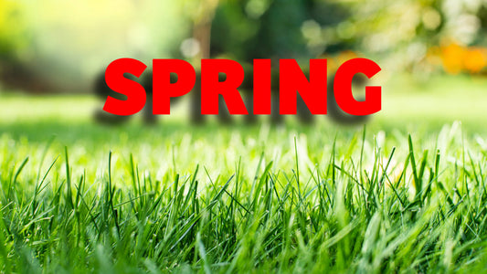 The Spring Lawn Masterclass - Ready, Set, Grow