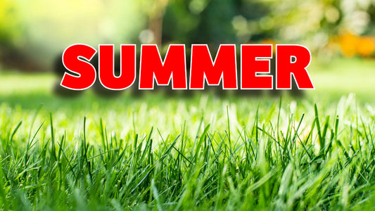 The Ultimate guide to helping your lawn in the Summer