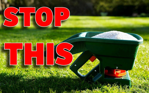 The beginners guide on fertilising your lawn (Full guide) - iGrow Carpet