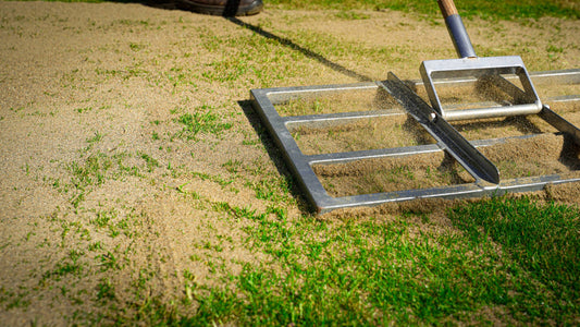 Level Your Lawn Like a Pro - All the  Steps for a Smoother Yard