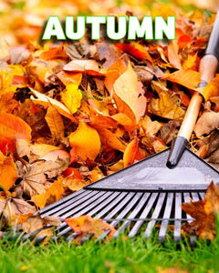 iGrow Carpet Autumn Power Pack (2.5kg) - iGrow Carpet