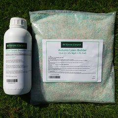 iGrow Carpet Autumn Box (2.5kg) - iGrow Carpet