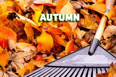 iGrow Carpet Autumn Power Pack (8kg) - iGrow Carpet