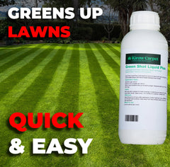 Summer Triple Pack // 2.5kg Summer Feed // Seaweed Booster // Green Shot Liquid Plus - iGrow Carpet