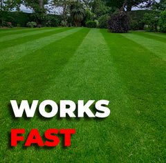 The Greenkeeper's Liquid Combo - iGrow Carpet