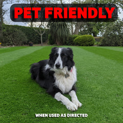 Seaweed Lawn Booster 8% 1L