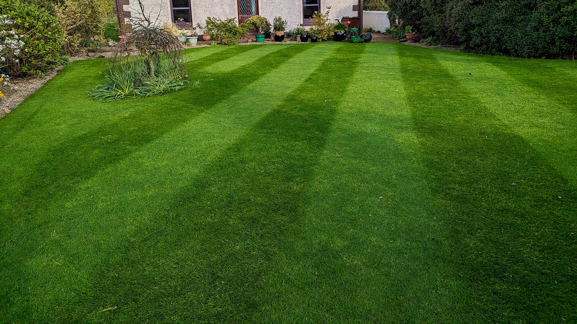 Translation missing: en.sections.video.load_video