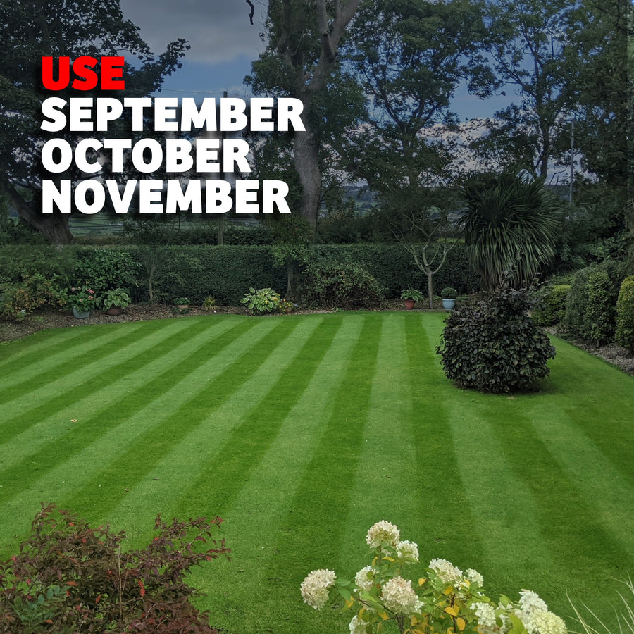 Autumn Lawn Builder Fertiliser - iGrow Carpet