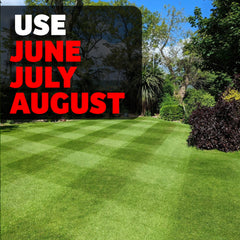 Summer Triple Pack // 2.5kg Summer Feed // Seaweed Booster // Green Shot Liquid Plus - iGrow Carpet