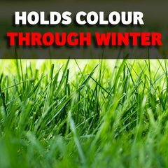 Winter Ready Pro