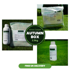 iGrow Carpet Autumn Box (2.5kg) - iGrow Carpet