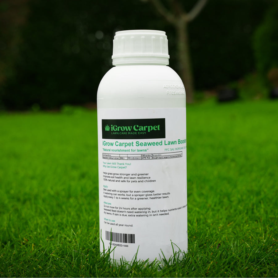 A white bottle of Seaweed Lawn Booster by iGrow Carpet, standing on a green lawn.