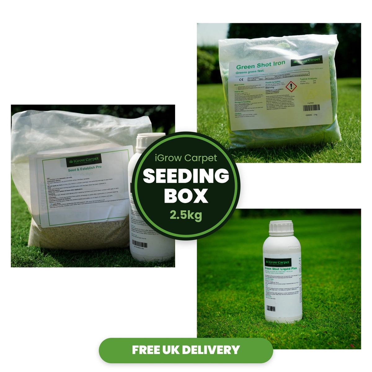 iGrow Carpet Seeding Box (2.5kg) - iGrow Carpet