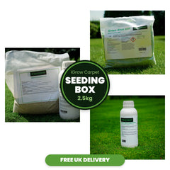 iGrow Carpet Seeding Box (2.5kg) - iGrow Carpet