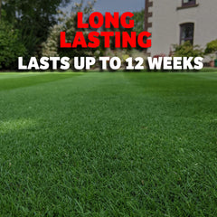 Spring Starter Plus Fertiliser