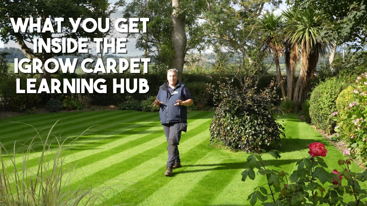 Translation missing: en.sections.video.load_video