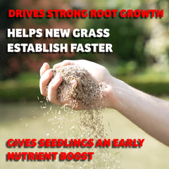 Seaweed Lawn Booster 8% 1L